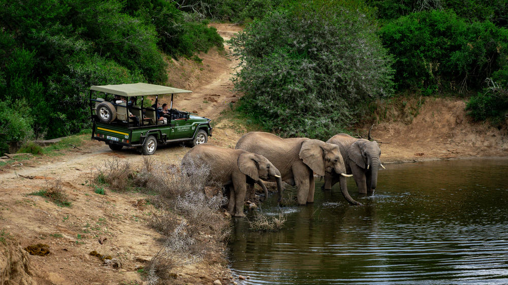 Shamwari Private Game Reserve