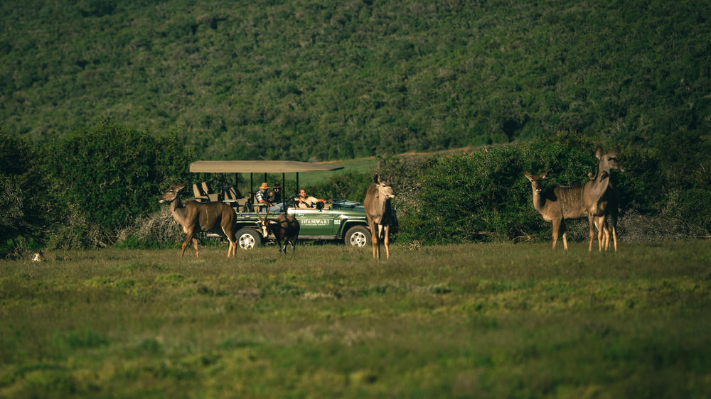 Shamwari Private Game Reserve