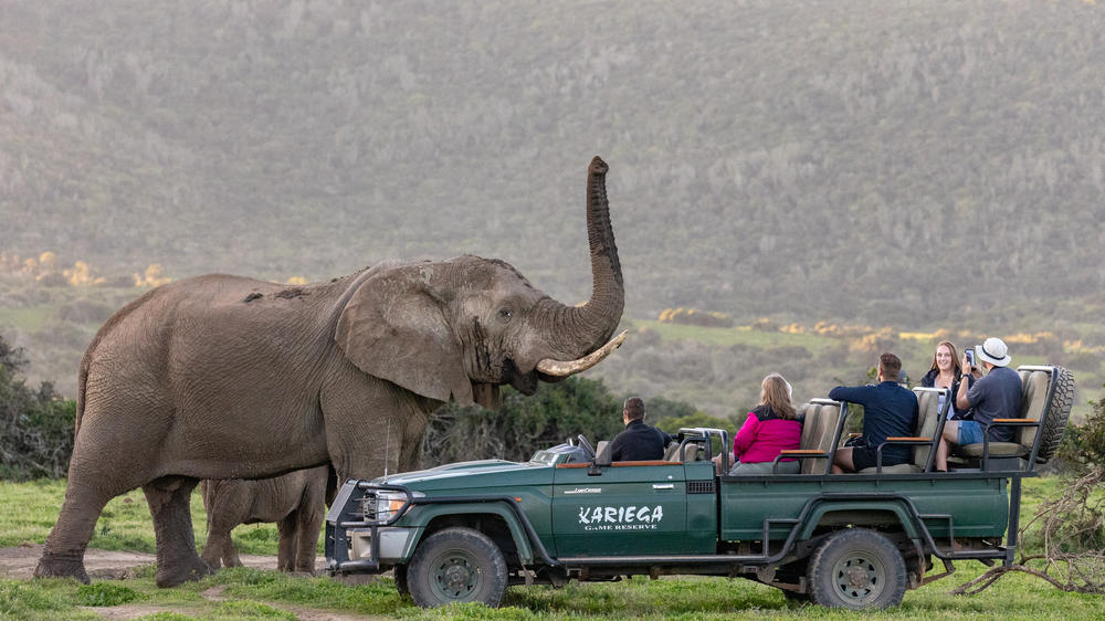 Kariega Game Reserve