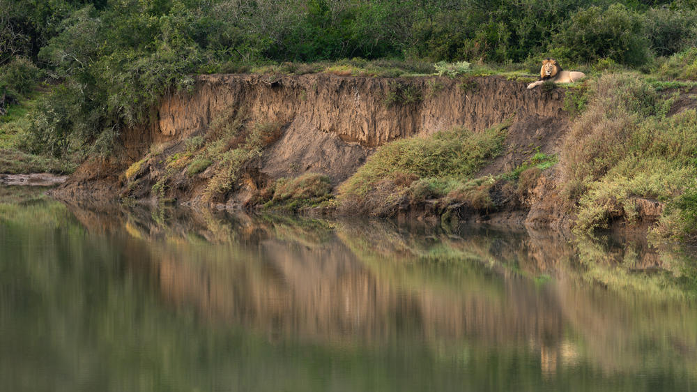Kariega Game Reserve
