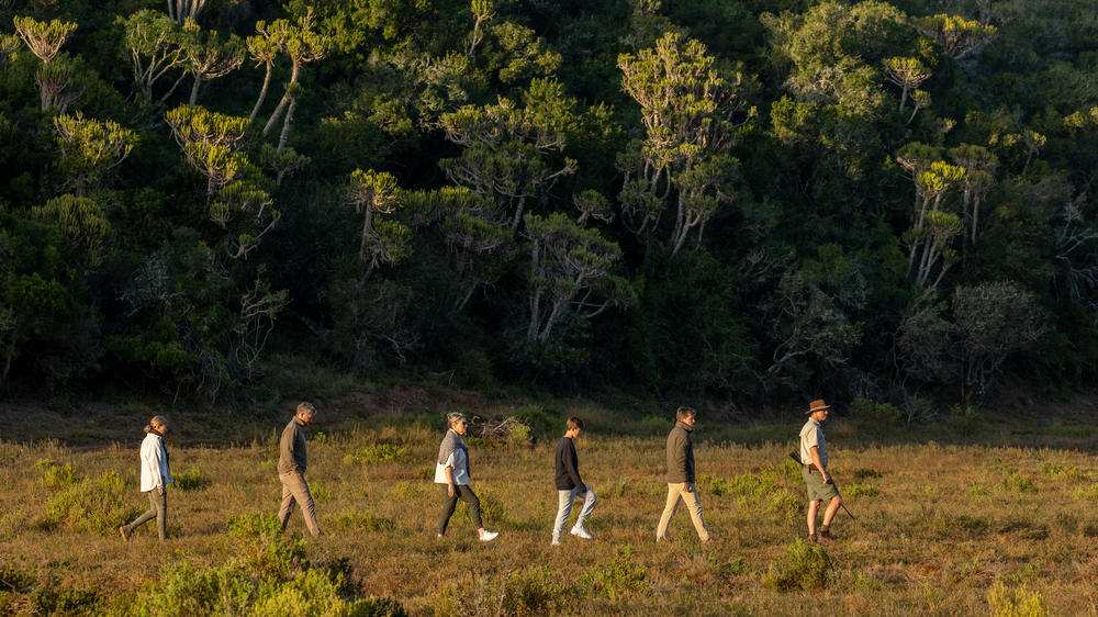 Kariega Game Reserve