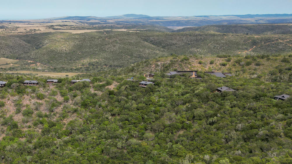 Kariega Game Reserve