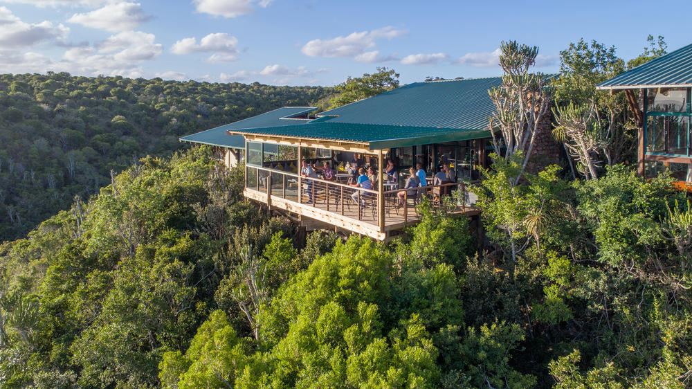 Kariega Game Reserve