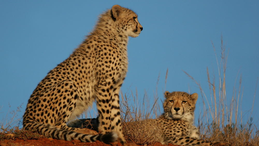 Eagles Crag at Shamwari Private Game Reserve