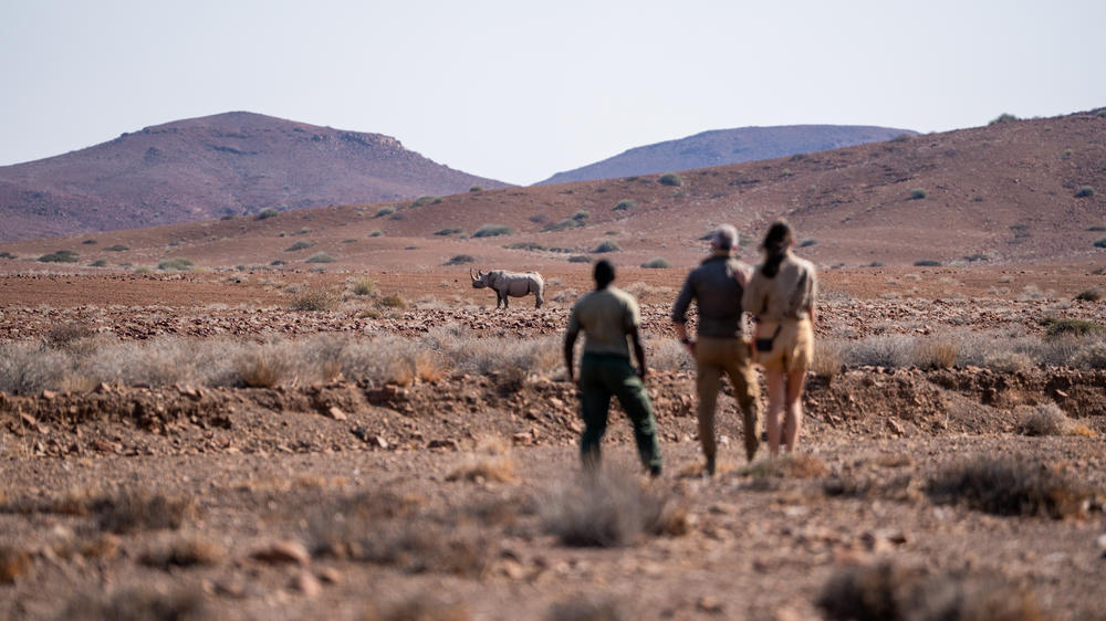 Wilderness Desert Rhino Camp