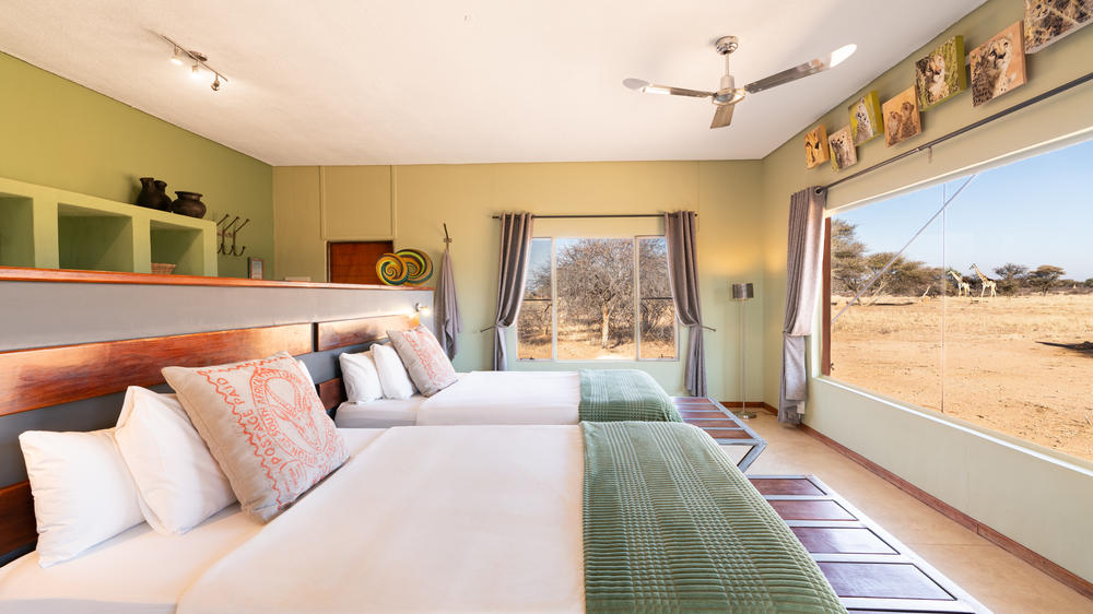 Okonjima Plains Camp