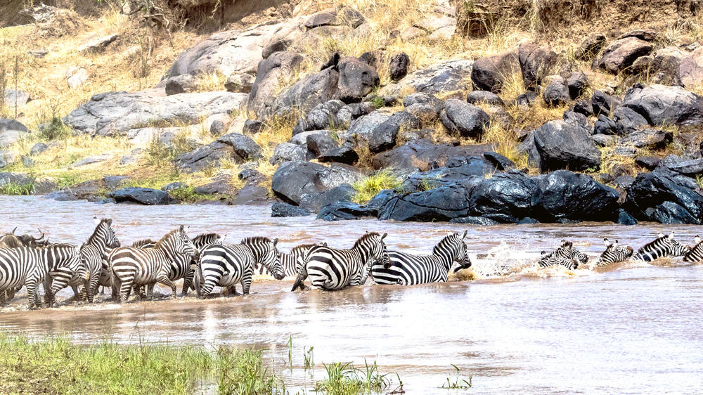 Masai Mara National Reserve