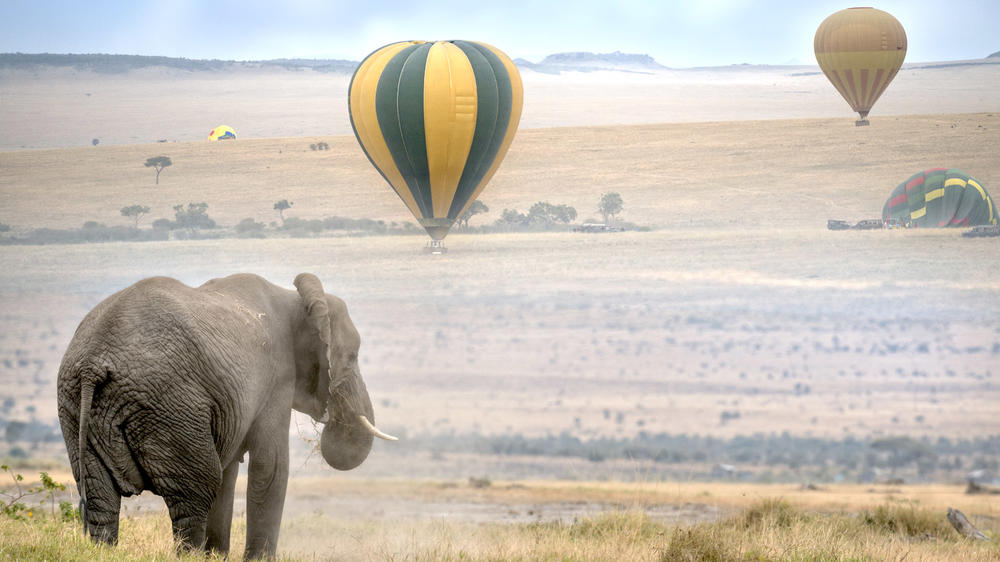 Masai Mara National Reserve