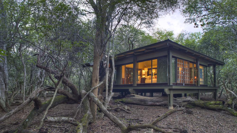 andBeyond Phinda Private Game Reserve