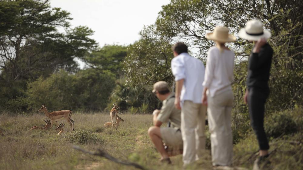 andBeyond Phinda Private Game Reserve
