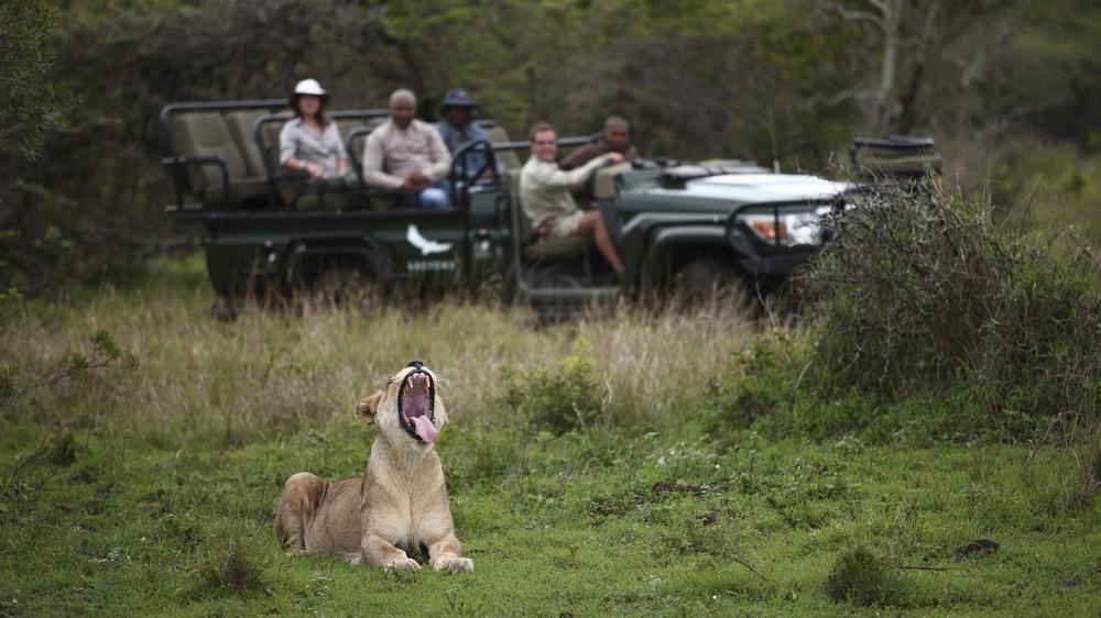 andBeyond Phinda Private Game Reserve