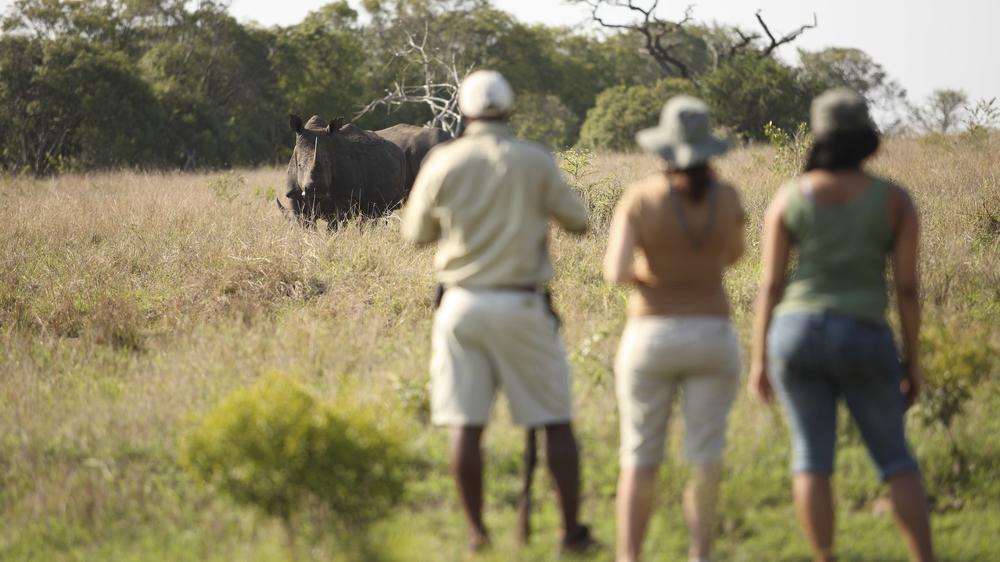 andBeyond Phinda Private Game Reserve