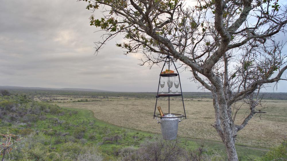 andBeyond Phinda Private Game Reserve