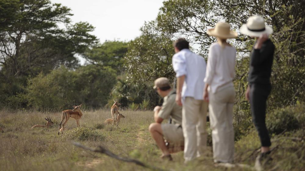 andBeyond Phinda Private Game Reserve
