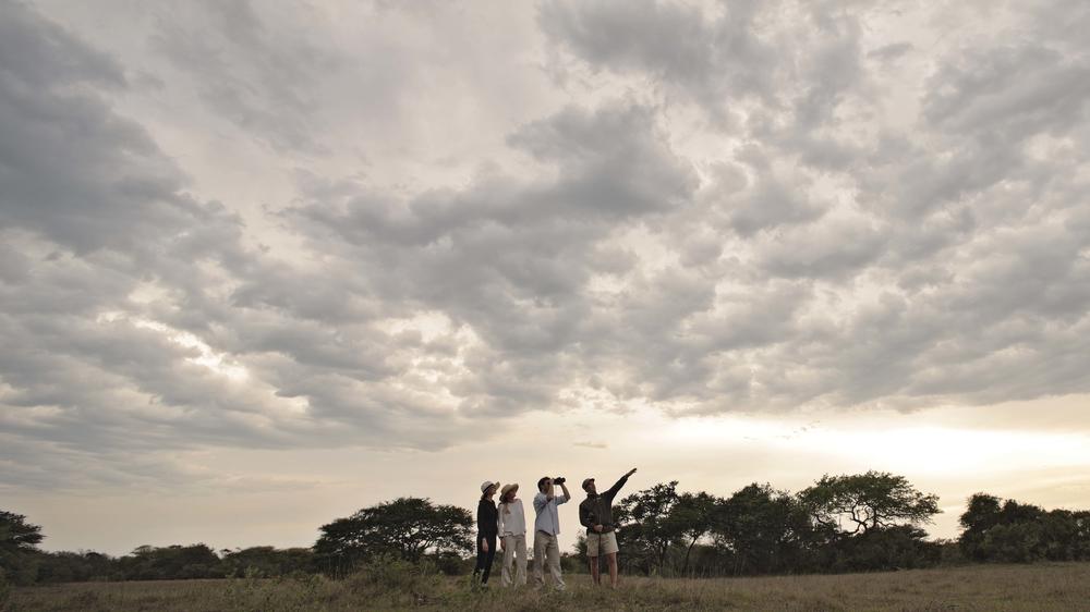 andBeyond Phinda Private Game Reserve