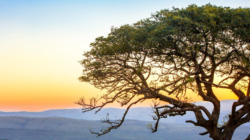 Hluhluwe–Imfolozi Park