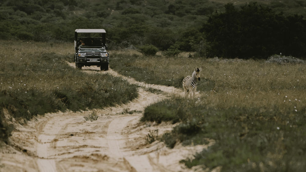Amakhala Bukela Game Lodge