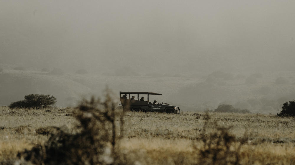 South Africa - 3-day Amakhala Safari with Bukela Game Lodge - Private accommodated