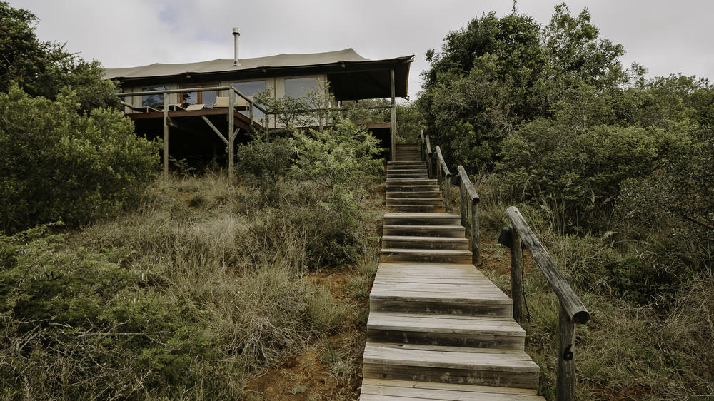 Amakhala Bukela Game Lodge