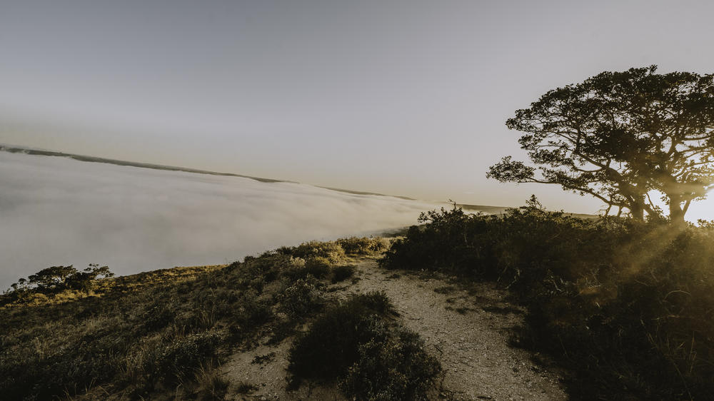 Amakhala Bukela Game Lodge