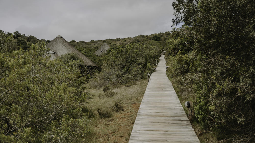 Amakhala Bukela Game Lodge