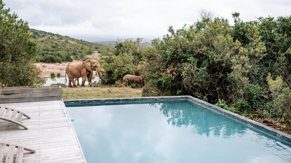 Amakhala Bukela Game Lodge