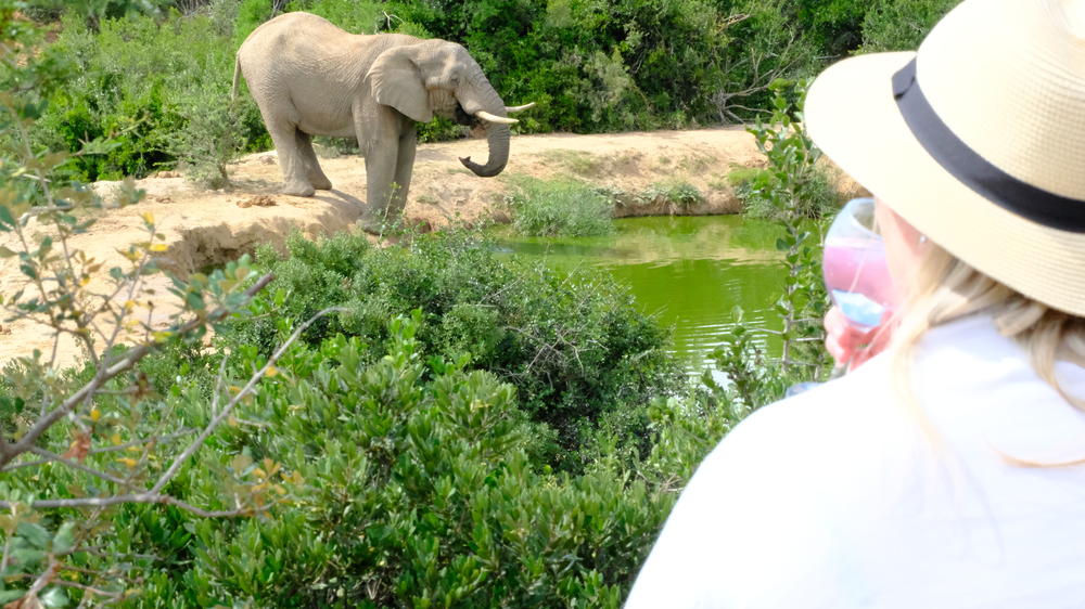 Amakhala Bukela Game Lodge