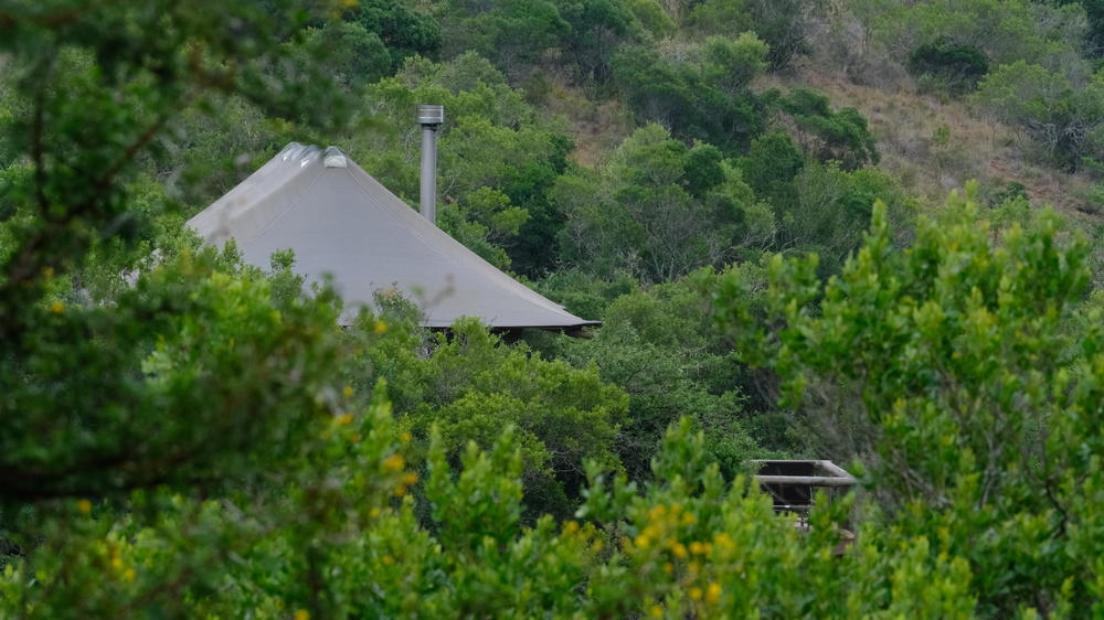 Amakhala Bukela Game Lodge