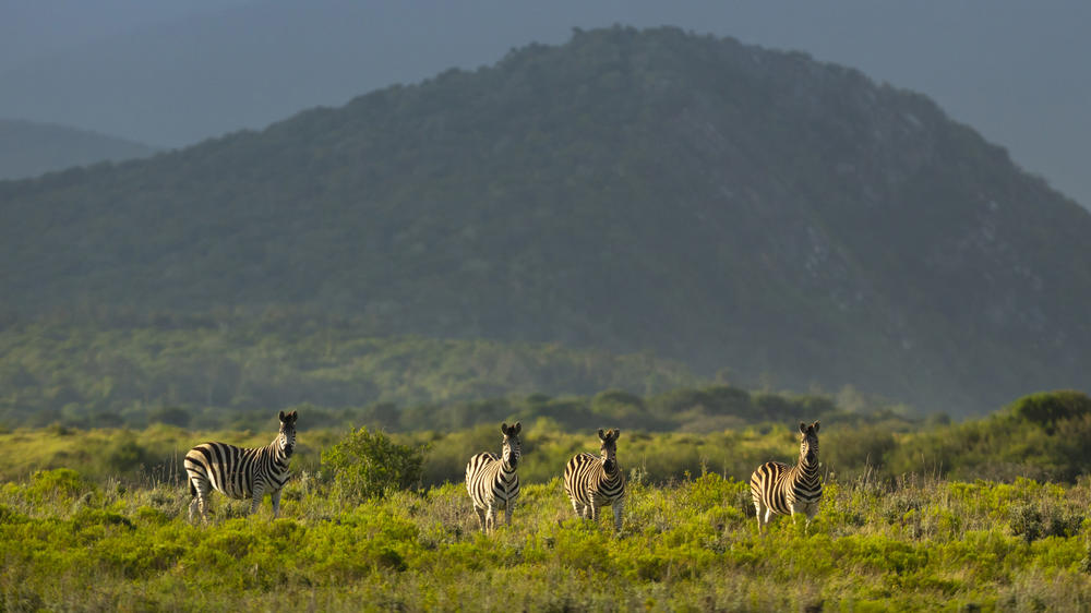 Kariega Private Game Reserve