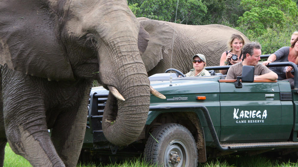 Kariega Private Game Reserve