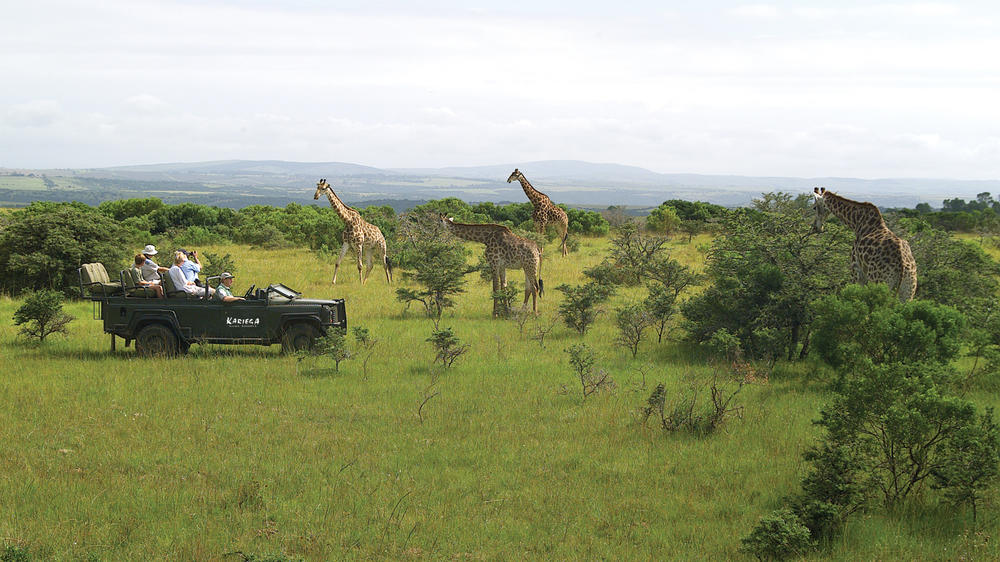 Kariega Private Game Reserve