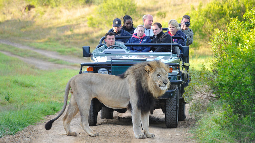 Kariega Private Game Reserve
