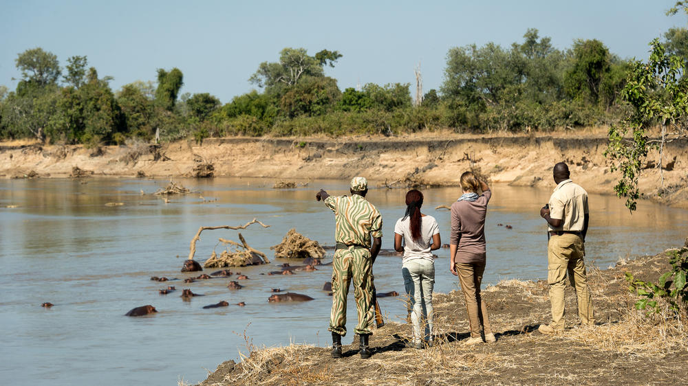 Luangwa River Camp