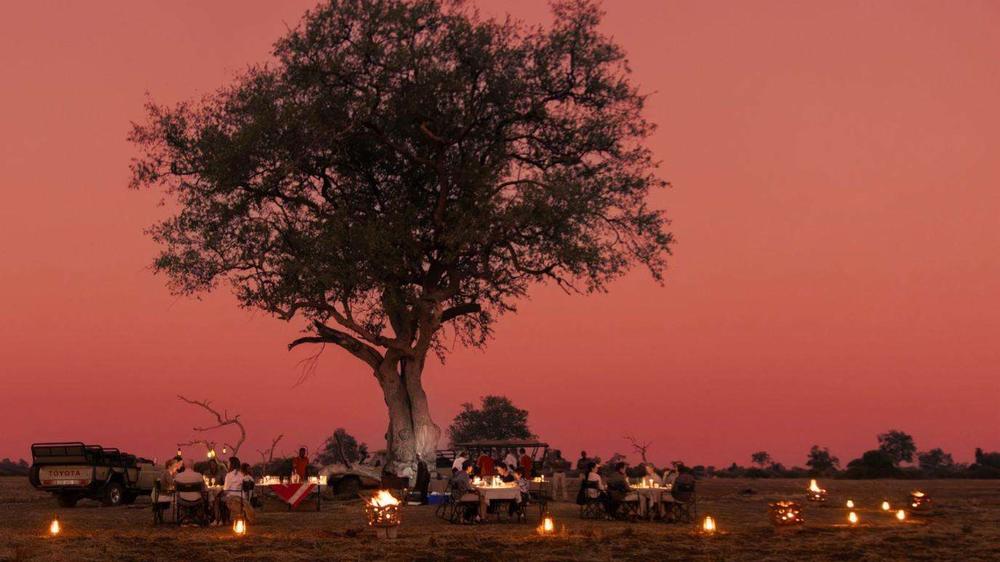Lion Camp