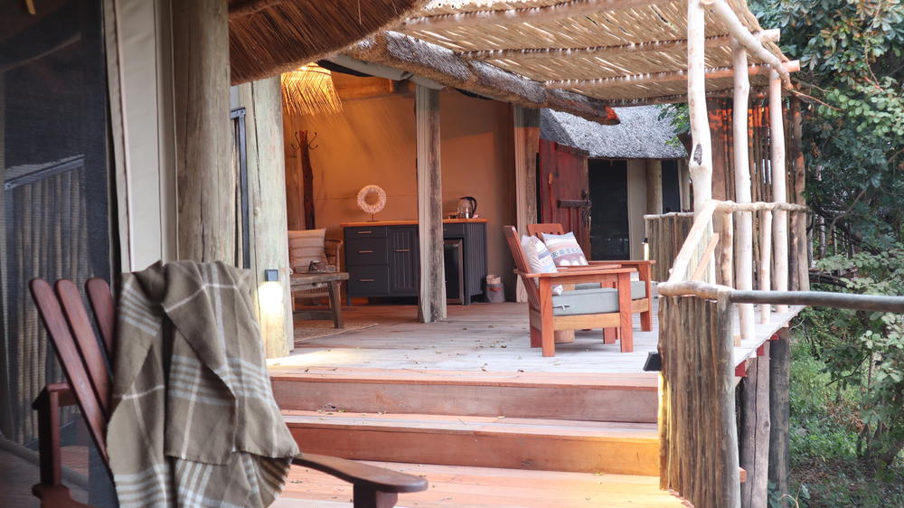Lion Camp
