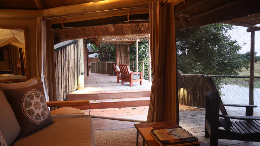 Lion Camp