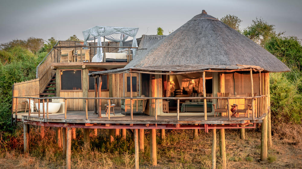 Lion Camp