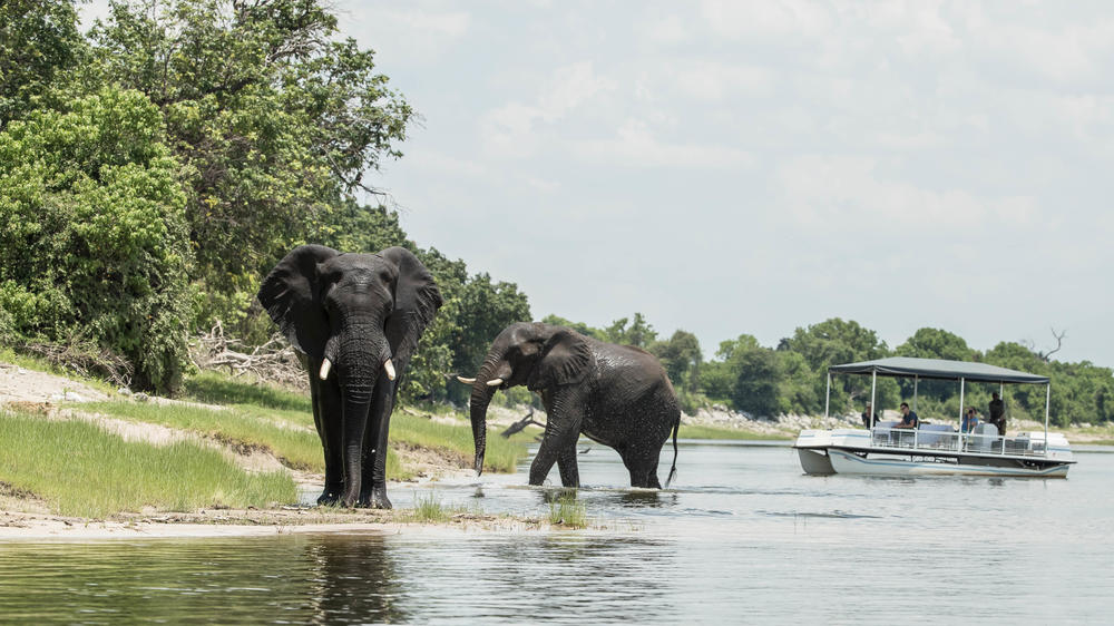 Muchenje Safari Lodge