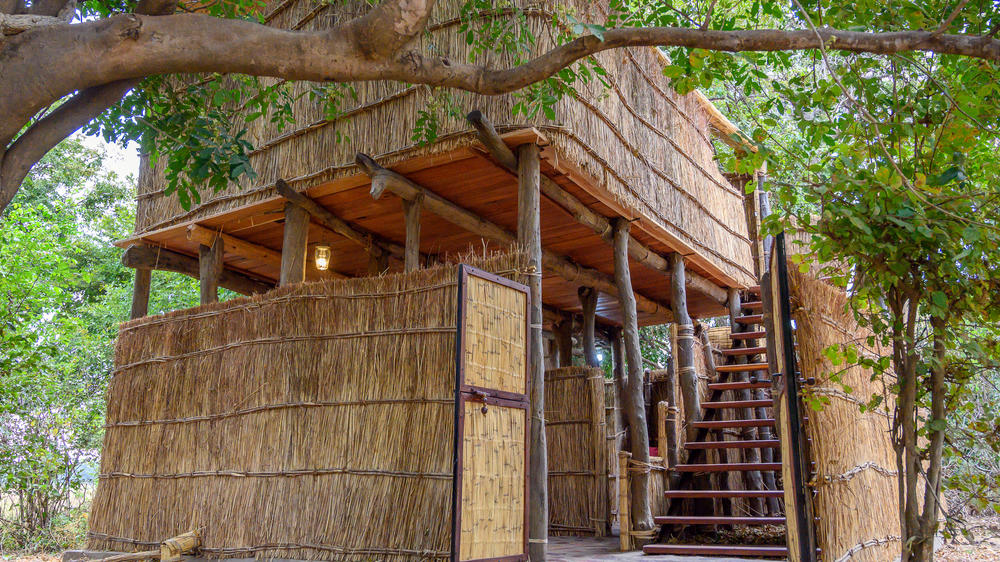 Chikoko Tree Camp