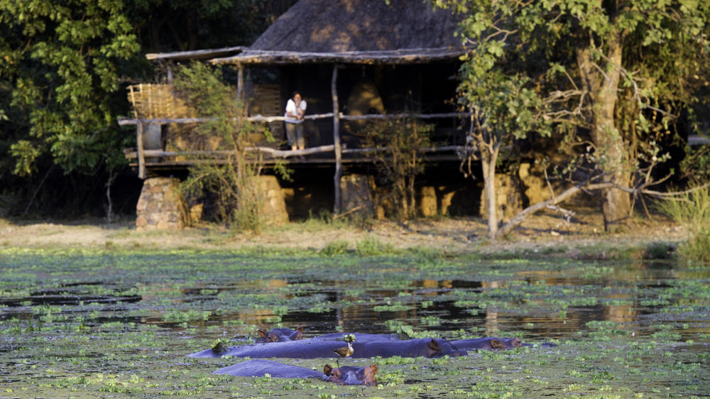 Mfuwe Lodge