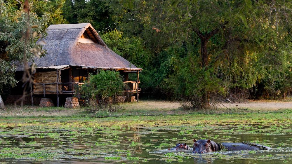 Mfuwe Lodge
