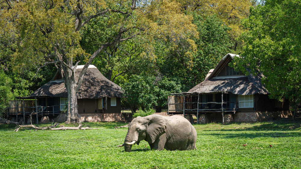 Mfuwe Lodge