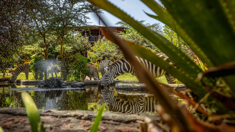 Lake Naivasha Sopa Resort