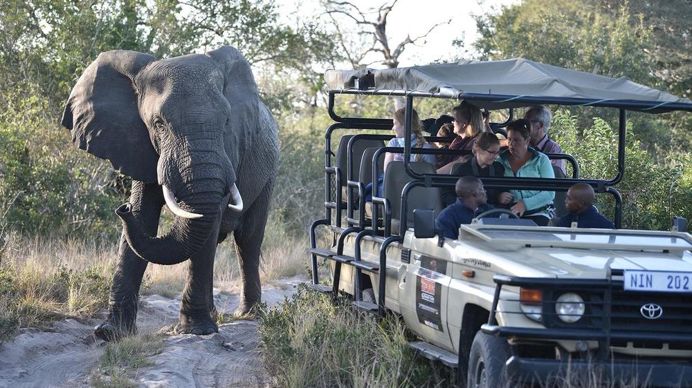 South Africa - 4-day Kwazulu Natal Safari with Tembe Elephant Park - Private self-drive 