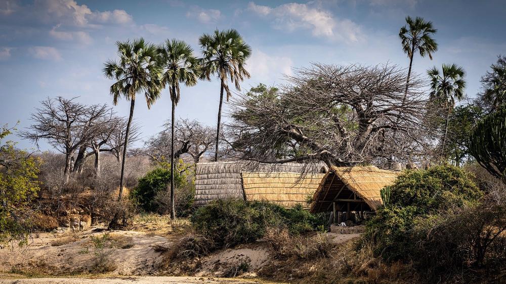 Tanzania - 4-day Ruaha Safari with Mwagusi Safari Camp - Private Fly-in