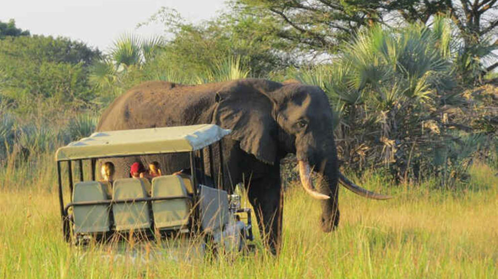Tembe Elephant Park Lodge