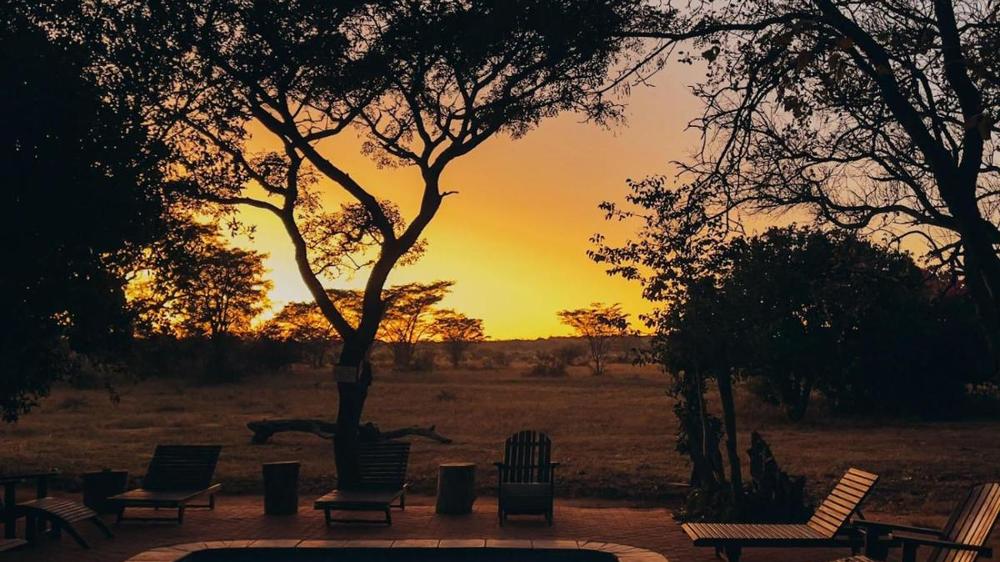 Honeyguide Ranger Camp