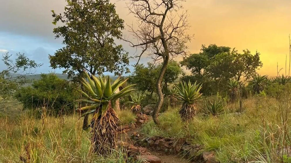 Loziba Wildlife Reserve Tented Camp