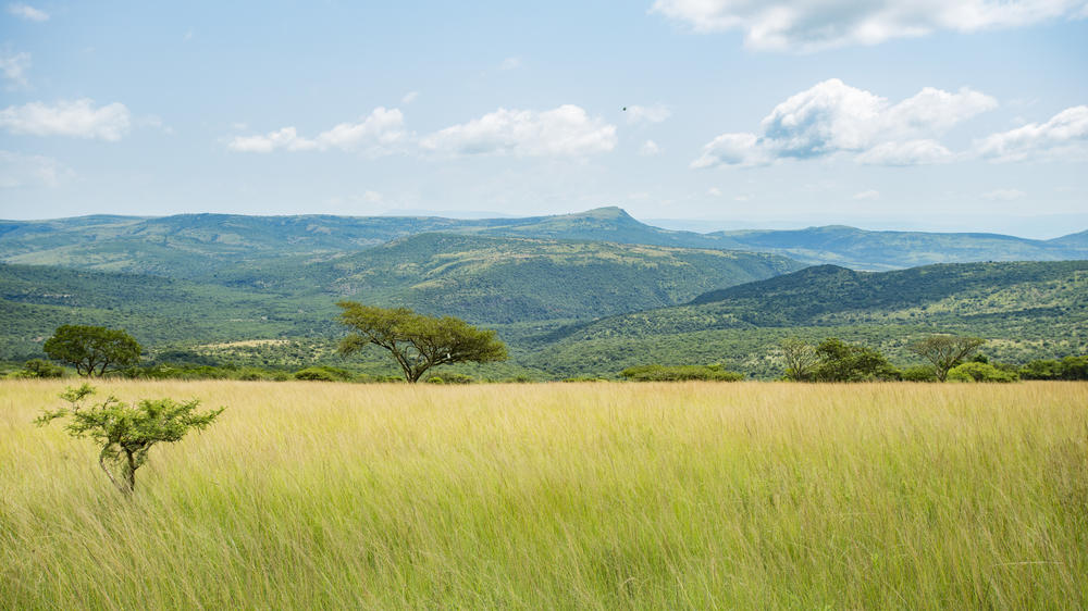 Loziba Wildlife Reserve Tented Camp