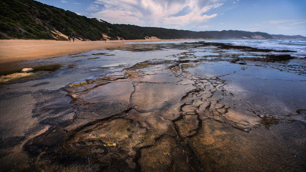Maputaland Marine Protected Area
